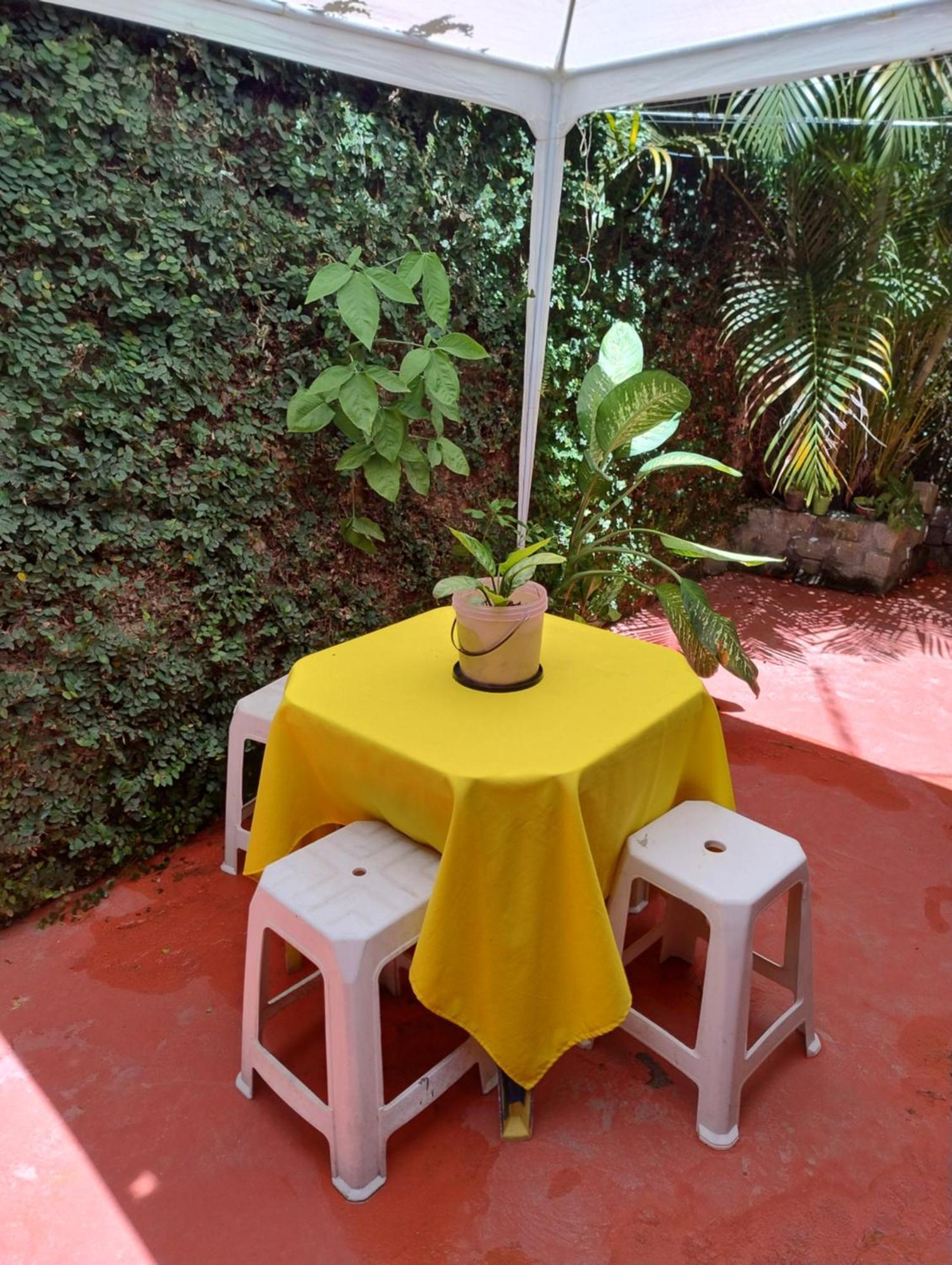 Perto Do Aeroporto De Salvador - Dona Pitanga Hostel Lauro de Freitas Luaran gambar